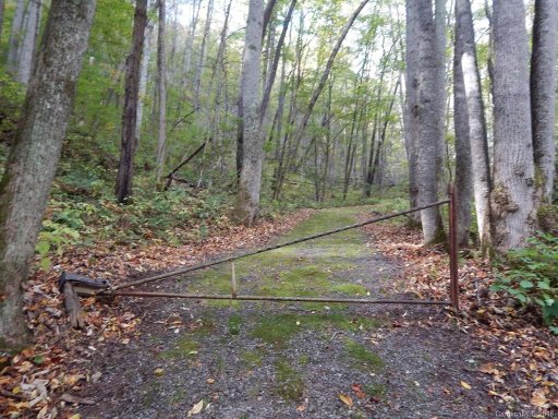 Lots 216 217 Apple Creek Acres Road