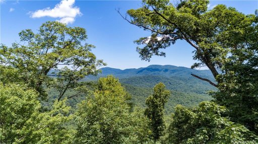 9999 Lower Flat Creek Road 01