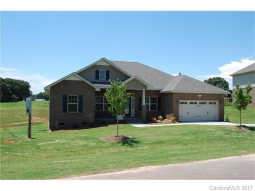 129 Tall Fern Loop 14