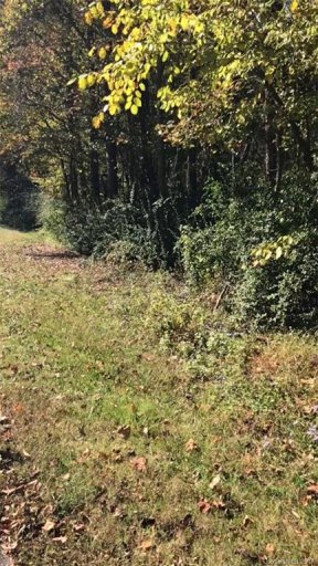 7425 Capri Drive 24 & 25