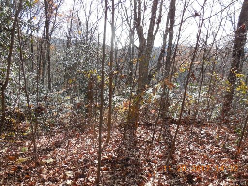 00 Joshua Road Lot # 19