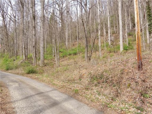 21 Laurel Branch Road