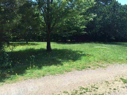 2331 Pathfinder Street