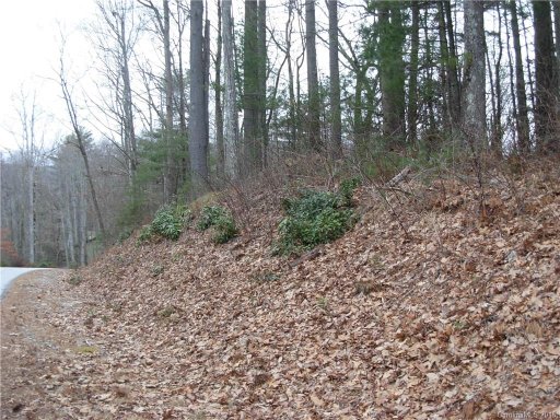 Tbd Upper Whitewater Road 128