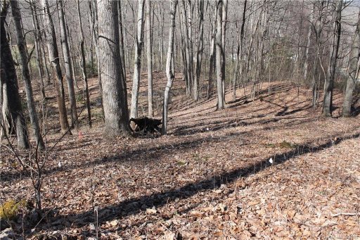 00 Inglewood Cove 56