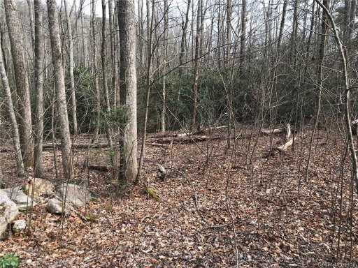 914 Wash Freeman Road 7