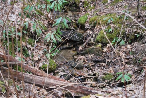 Lot 25 Bear Rock Loop Road