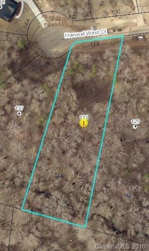 133 Harvest Wind Court 41