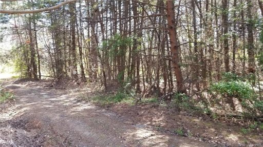 Lot 4 Maralane Trail