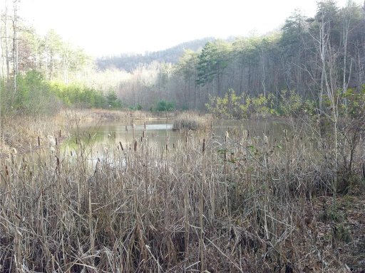 0 Cane Creek Mountain Road 11B