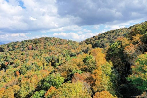 0 Mountain Forest Estates Road 311