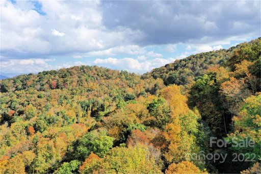 Vl313 Mountain Forest Estates None