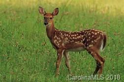 564 Stillwater Road 25 & 26