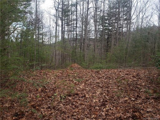 108 Dream Forest Trail