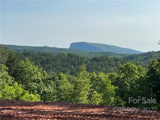 Lot 4 Pisgah Preserve Drive Lot# 4
