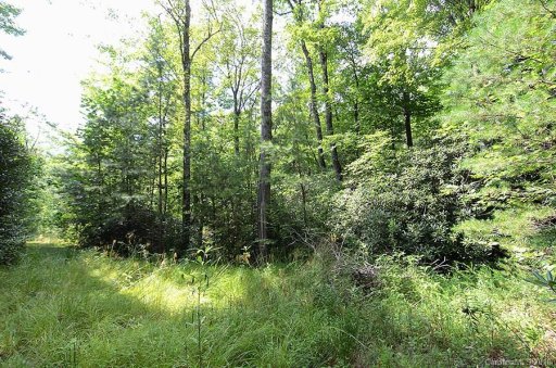 Vl Linville Drive 67