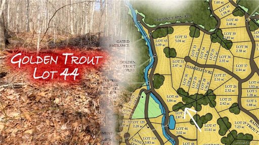 00 Golden Trout Drive 44