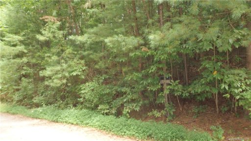 Lot 20 Turkey Creek Court