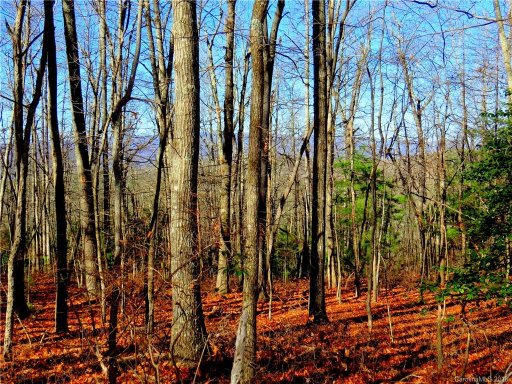 733 Slick Rock Road 1-A