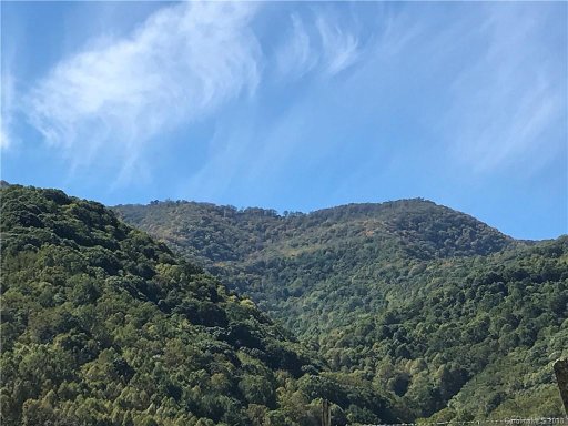 53 Tug Fork Trail 16