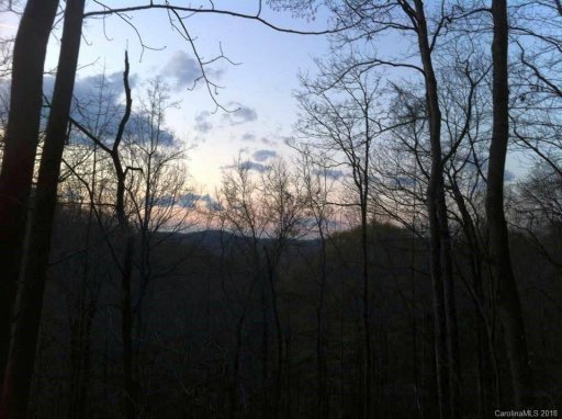 Lot 16 Mountain Forest Drive