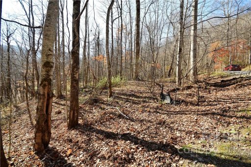 19 Lot Tranquility Trail #19