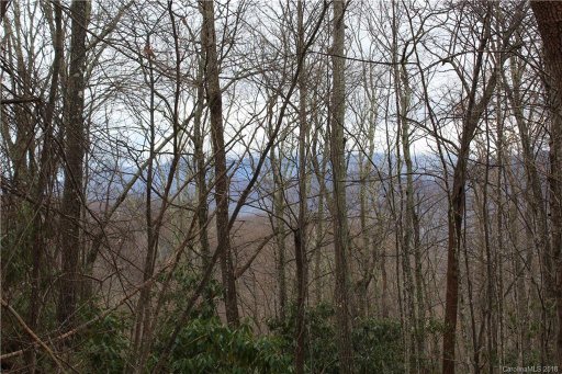 5 7 Mountain Mint Drive