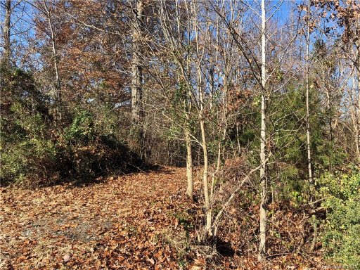 233 Catawba Crest Lane 38