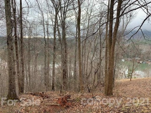 0000 Sugarbush Point 16,16A