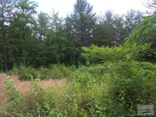 V L 66 Winding Creek Drive