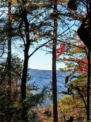 000 Emma Bri Lane F6