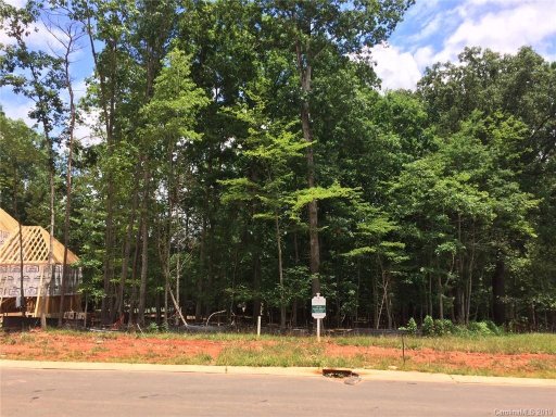 1019 Arborfield Drive 47