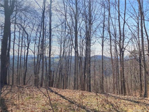 467 Overlook Park Drive 77