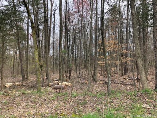 118 Berea Baptist Church Road 45