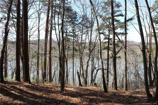 00 Bridgeland Trail Lot # 1