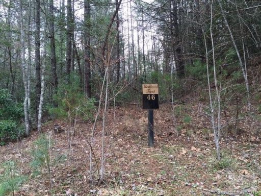 O Heartwood Forest Road