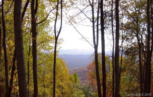 Lot 26 Grants Mountain Rd