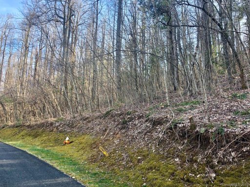 Lot 45 Mt Hebron Road