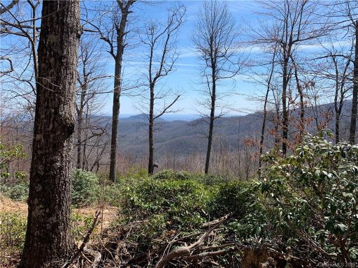 Lot 4 High Cliffs Trail