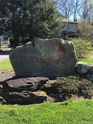 00 Bob White Loop 15