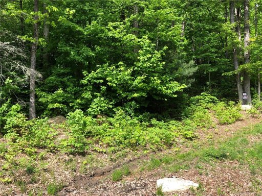 Lot 67 Marshall Ridge Road