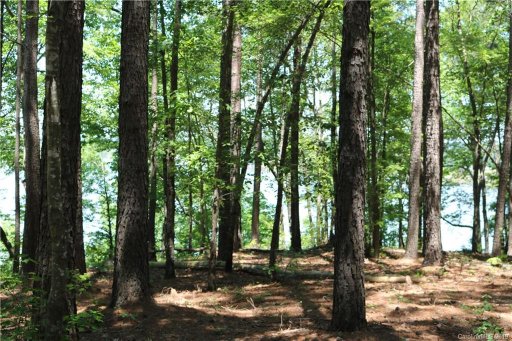 130 Bridgeland Trail Lot #4