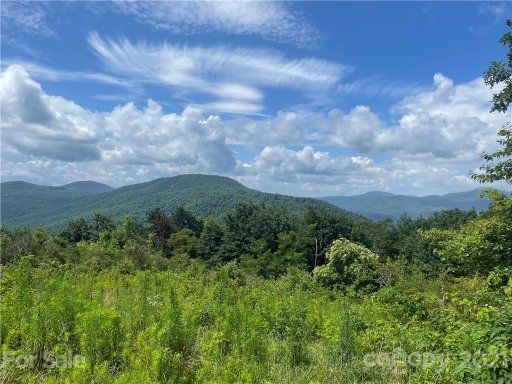 102 High Cliffs Trail