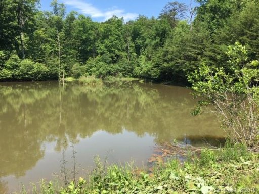 0 Cane Creek Mountain Road