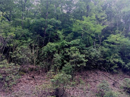 Lt 34 Indian Ridge Trail Lot 34