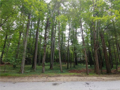Lot 17 Camellia Way