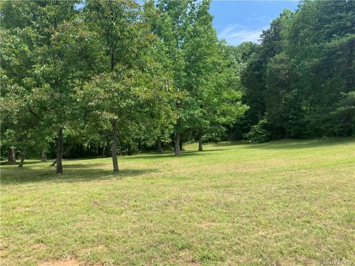 8606 Sherrills Creek Drive 5