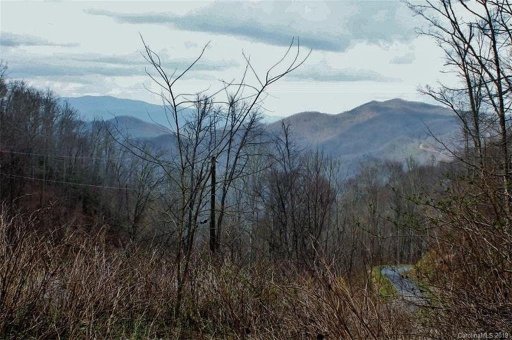 00 Cowee Mountain Road 20