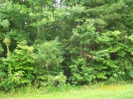 1223 Forest Ridge Road