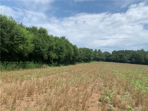 11 886 Ac Haystack Lane 25